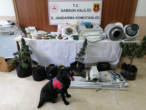 İklimlendirme Sistemi Kullanarak Uyuşturucu Madde Elde Ettikleri Tespit Edilen 3 Şüpheli Yakalanarak Gözaltına Alınmıştır